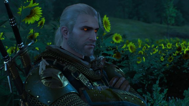 witcher3 2022-02-12 22-12-40-23.jpg