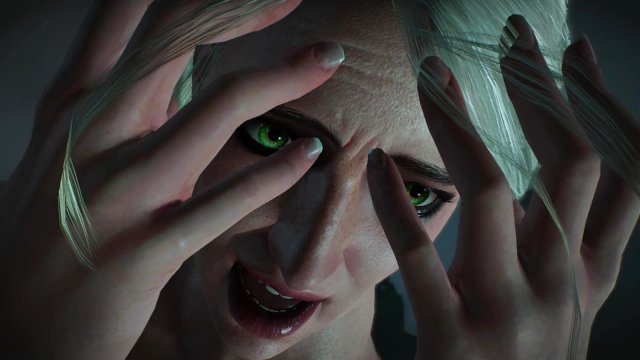 witcher3 2022-01-19 23-18-21-43.jpg