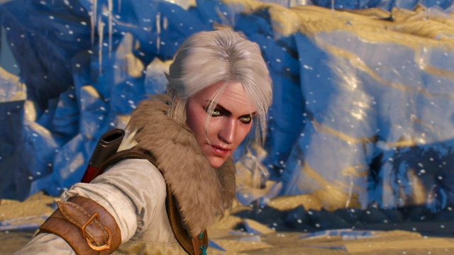 witcher3 2022-01-21 22-26-40-80.jpg