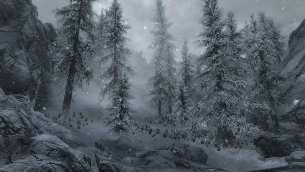 ScreenShot900.jpg