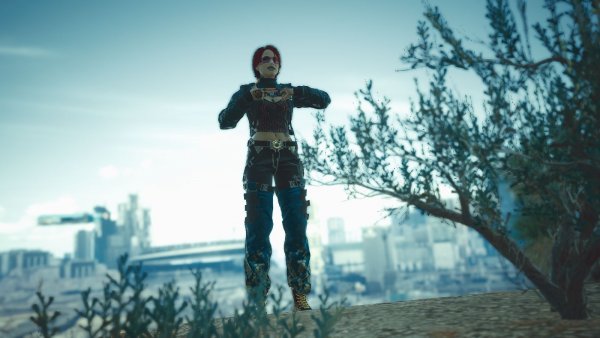 Vee.. Cyberpunk 2077 глазами Windfire