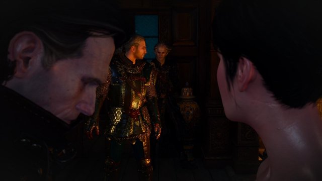 witcher3 2022-02-10 21-34-15-50.jpg