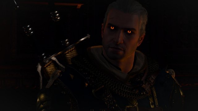 witcher3 2022-02-10 21-35-17-72.jpg