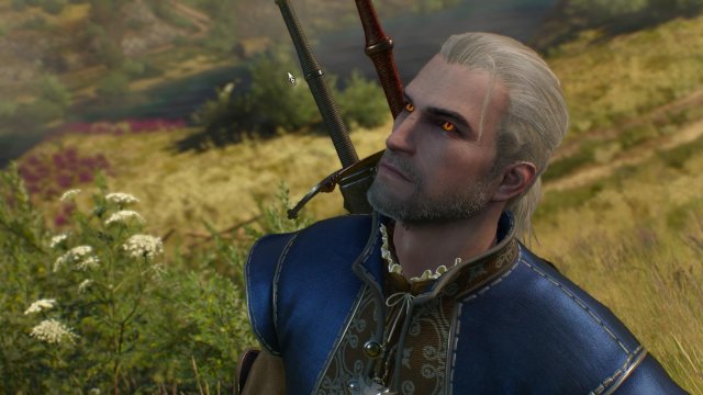 witcher3 2022-05-02 22-00-54-05.jpg