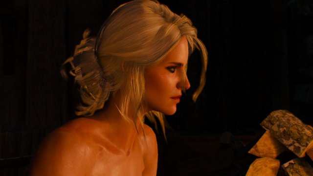 witcher3 2022-01-19 22-12-00-70.jpg