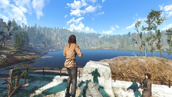 19 Теперь мост чист !.jpg