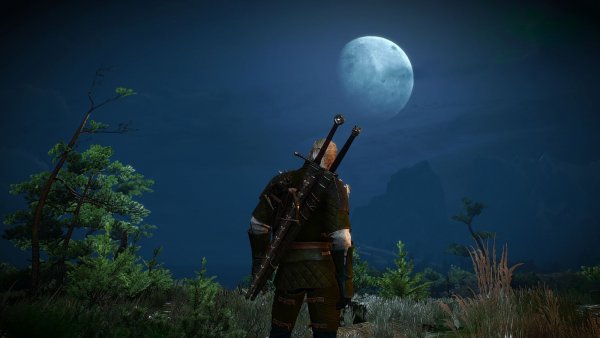 ПЕЙЗАЖНОЕ с Геральтом.. Ведьмак III (сборка Торна)