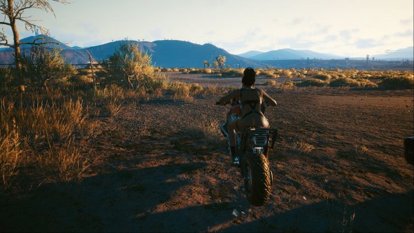 Cyberpunk 2077 глазами Windfire