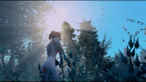 Nature.. Fallout-4 (Сборка 7.5)