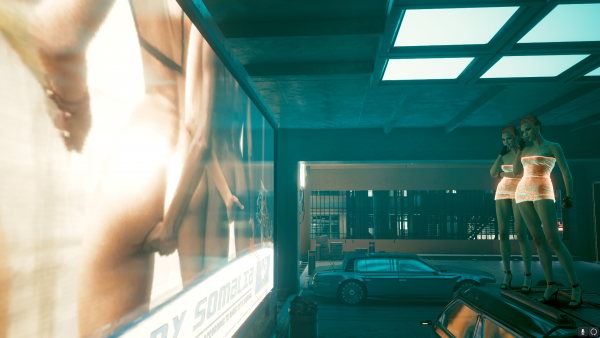 ВИшенки - близняшки.