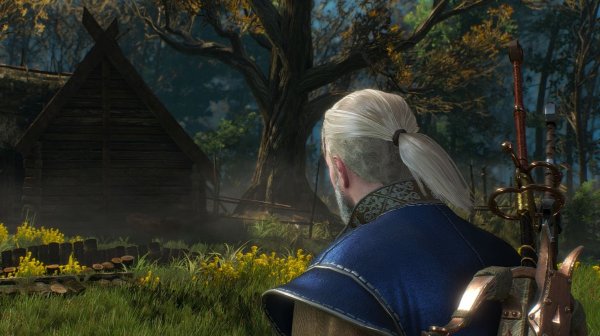 ПЕЙЗАЖНОЕ с Геральтом.. Ведьмак III (сборка Торна)