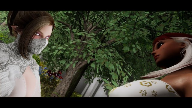 SkyrimSE 2023-05-20 20-48-38-63.jpg