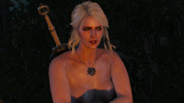 witcher3 2022-01-20 00-00-35-70.jpg