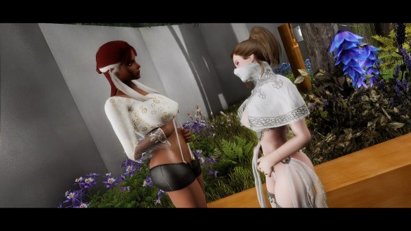 SkyrimАE Тайная встреча