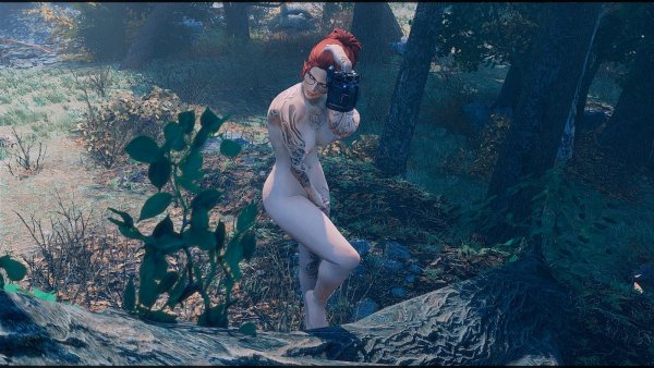 В дубравах.. )) Fallout-4 (Сборка 7.5)