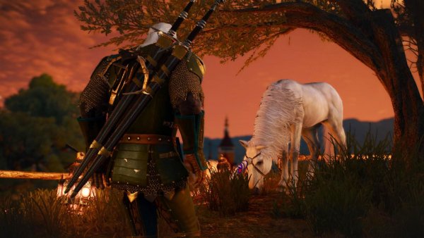 Геральт и чудо-конь )) Ведьмак III (сборка Торна)