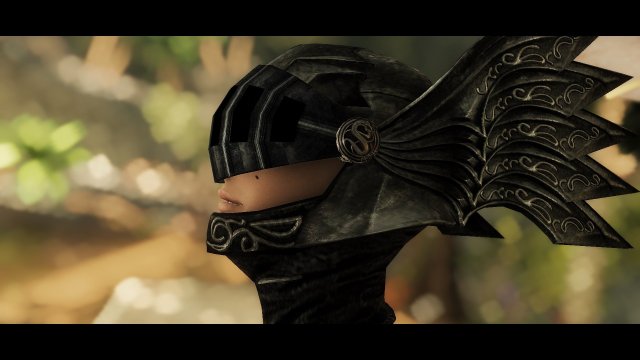 SkyrimSE 2023-06-04 18-25-25-79.jpg