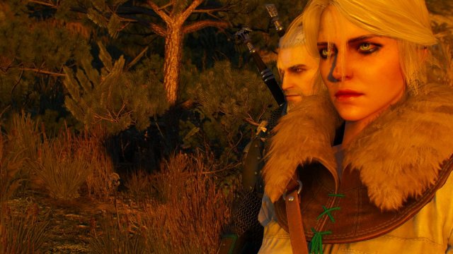witcher3 2022-01-21 20-48-09-03.jpg