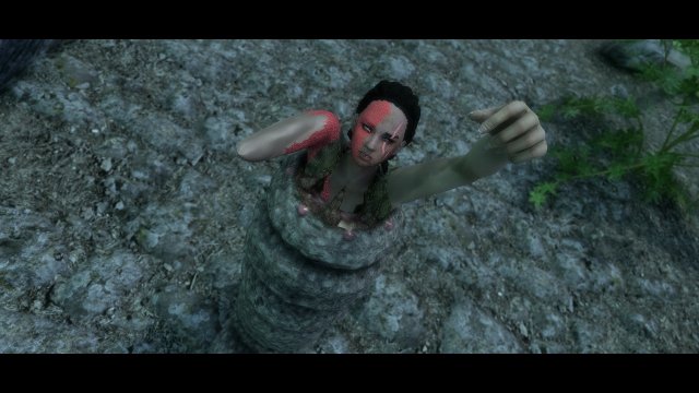 SkyrimSE 2023-06-04 17-11-50-41.jpg