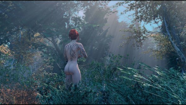 Пейзаж и не только.. Fallout-4 (Сборка 7.5)