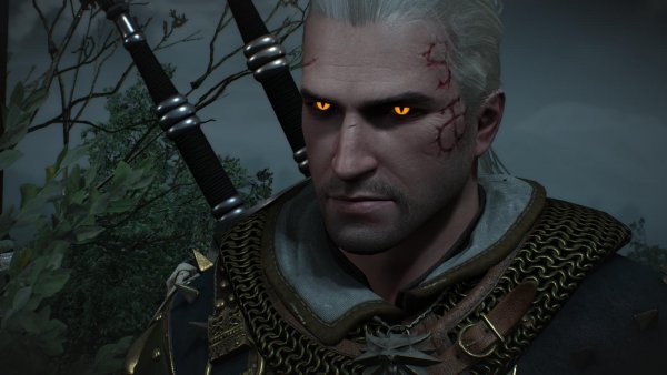 ГЕРАЛЬТ.. Ведьмак III (сборка Торна)