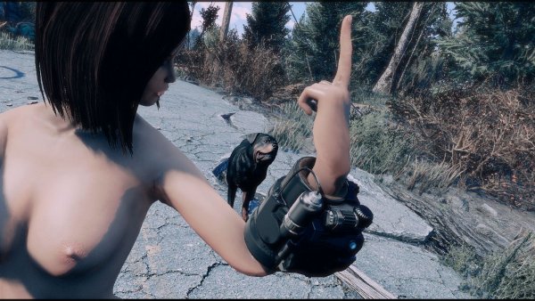 Ты первый друг.. Fallout-4 (Сборка 8.5)