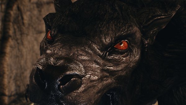 (с)"Эти глаза напротив!" )) Skyrim SE (Тропики 7.0)