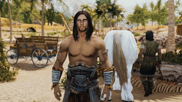 Начала с любимчика Эйрана.. Skyrim SE (Тропики 7.0)