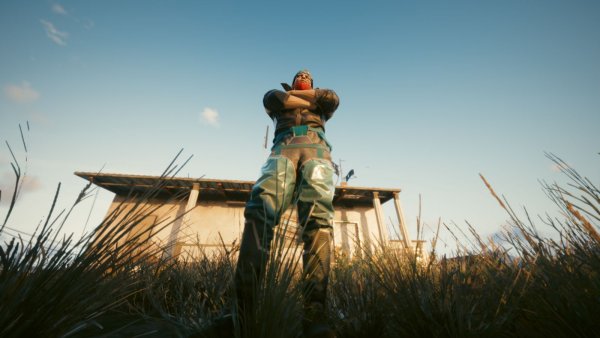 Селфи из травы. Cyberpunk 2077 глазами Windfire