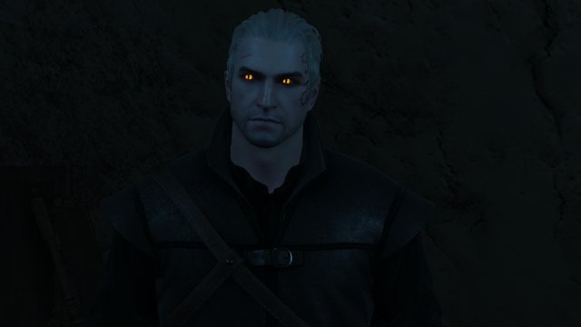 witcher3 2022-04-21 20-19-16-36.jpg
