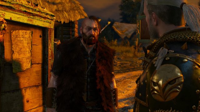 witcher3 2022-02-11 22-21-39-26.jpg