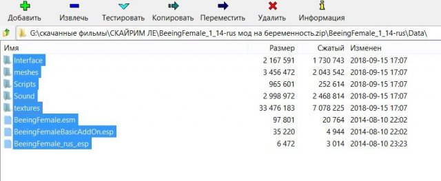 Бенинг фемели вер 1 14.JPG