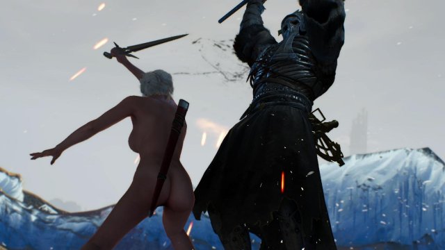 witcher3 2022-01-22 15-46-12-41.jpg