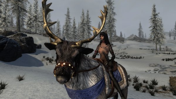 SkyrimSE 2023-06-09 17-05-15.jpg