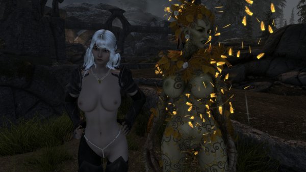 SkyrimSE 2023-07-28 22-47-05.jpg