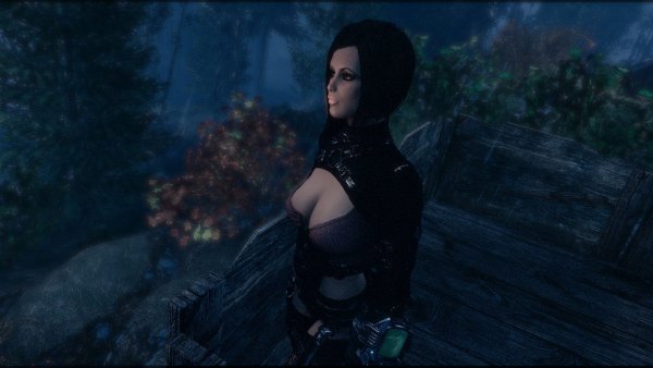 На наблюдательном посту.. Fallout-4 (Сборка 8.5)