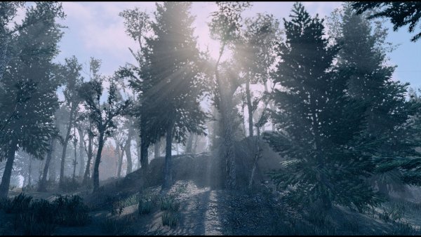 Солнце сквозь туман.. Fallout-4 (Сборка 8.5)