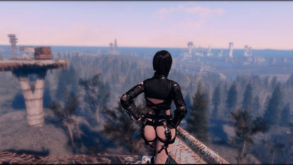 Вид на Содружество.. Fallout-4 (Сборка 8.5)