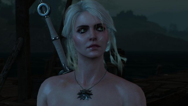 witcher3 2022-01-19 23-46-46-21.jpg