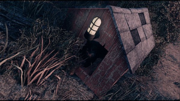 Конура песеля.. Poselenia Windfire