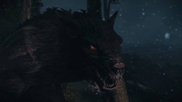 Вервольф.. Skyrim SE (Тропики 7.0)