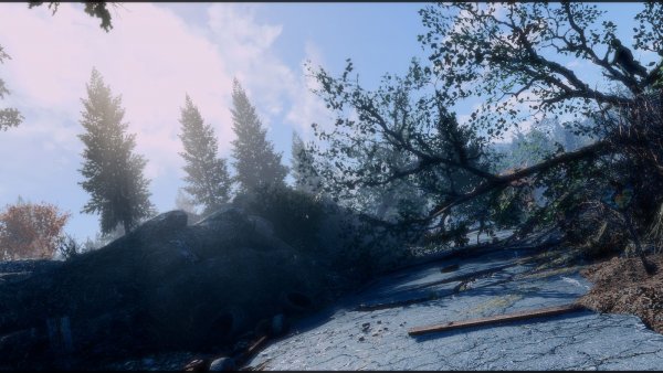 Пейзаж.. Fallout-4 (Сборка 9.0)