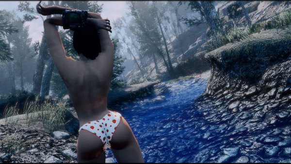 Ручей.. Fallout-4 (Сборка 9.0)