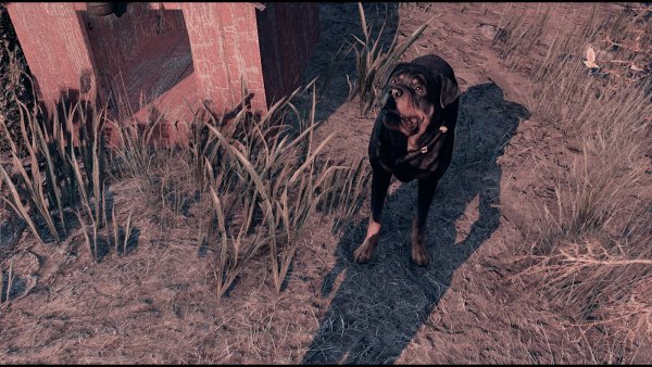 Песель! )) Fallout-4 (Сборка 9.0)