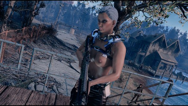 Поселенка на посту.. Fallout-4 (Сборка 9.0)