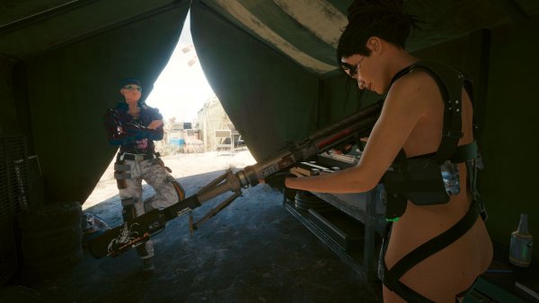 Панам любит длинные стволы.. Cyberpunk 2077