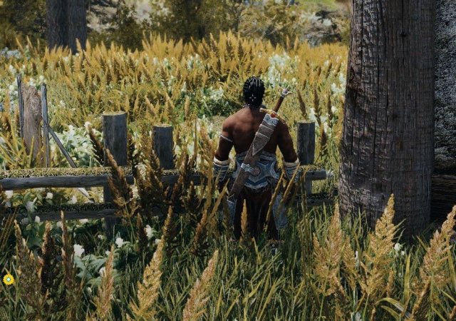 Трава у дома.jpg