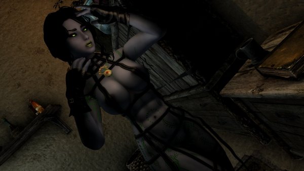 SkyrimAE Ночью, в своем маленьком домике