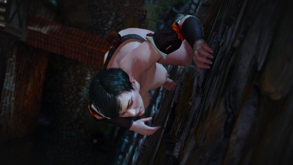 Нагая воровка.. Ведьмак III (сборка Торна)