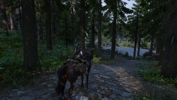 Skyrim Special Edition 23.01.2024 1_00_34.png